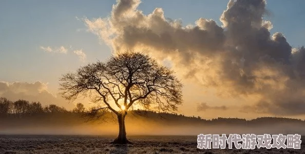 莫道未撩君心醉避难所心灵的港湾让我们在风雨中找到温暖与希望 莫道未撩君心醉避难所心灵的港湾让我们在风雨中找到温暖与希望