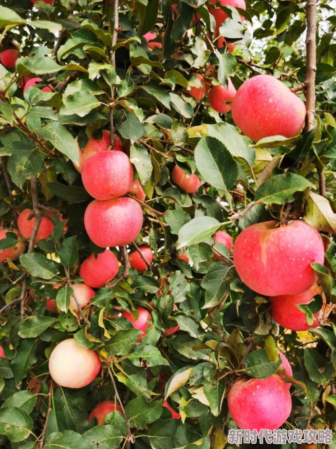 三角洲行动：高效瞄准切换技巧揭秘，网友热议的精准操作指南