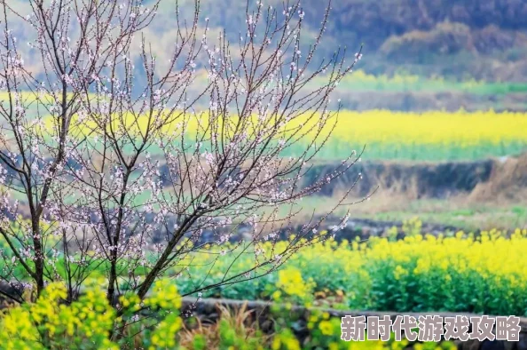 潮湿春日负暄云春日暖阳下花开正盛市民纷纷踏青享受春光 潮湿春日负暄云春日暖阳下花开正盛市民纷纷踏青享受春光