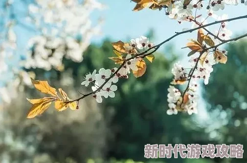 潮湿春日负暄云春日暖阳下花开正盛市民纷纷踏青享受春光 潮湿春日负暄云春日暖阳下花开正盛市民纷纷踏青享受春光