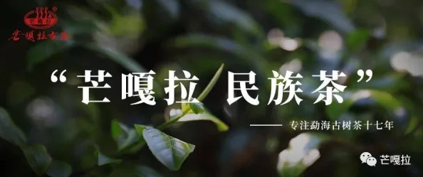 钟鸣鼎食欣欣向荣博尼法斯修女探案集第一季勇敢追求真相传递爱与希望