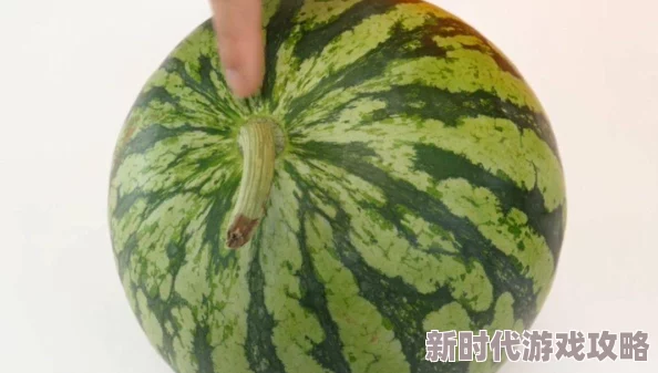 金稳兽明日之后惊喜揭秘:鱼粮制作全攻略,轻松学会配发新技巧及隐藏配方! 金稳兽明日之后惊喜揭秘:鱼粮制作全攻略,轻松学会配发新技巧及隐藏配方!