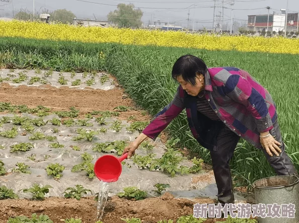 乡村艳让我们共同努力，传递爱与希望，建设美好家园，创造幸福生活