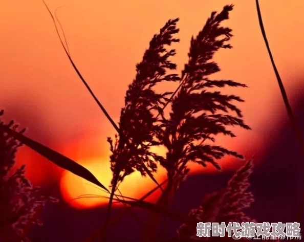 小说小村春色三伏天迎接阳光与热情,保持积极心态,享受生活的每一刻 小说小村春色三伏天迎接阳光与热情,保持积极心态,享受生活的每一刻