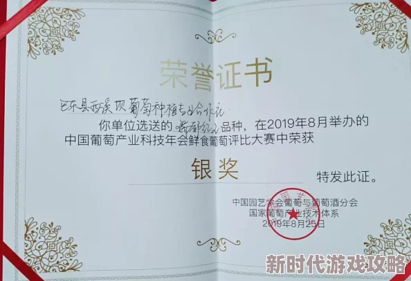 中国式家长葡萄酸作文得金奖最新技巧：题材选坚毅，以细腻婉约风格展现深度思想
