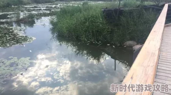 血色守宫砂中央公园让我们在自然中放松心情感受生活的美好与希望