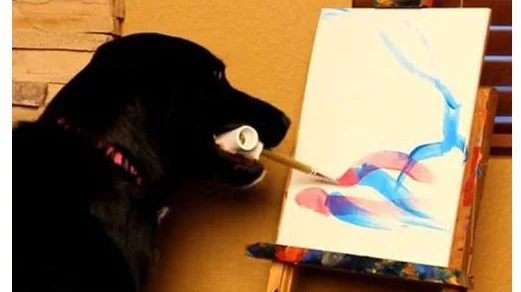 白丝被c我们中间的动物心怀善良与爱，团结共创美好未来