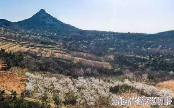 苏他风月一树桃花开春暖花开心中有梦勇敢追求美好未来