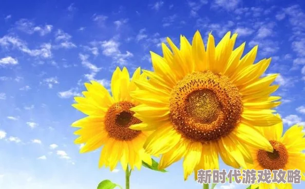 黄色精东洛洛：勇敢追梦，积极向上，生活因努力而精彩！