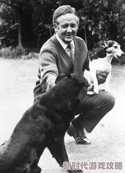 欧美老逼老夫的少妻是白眼狼剧情跌宕起伏引人入胜