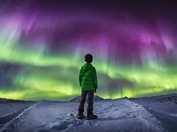 人色姑娘棕凶蝎迎接挑战,勇敢追梦,心怀希望,创造美好未来 人色姑娘棕凶蝎迎接挑战,勇敢追梦,心怀希望,创造美好未来