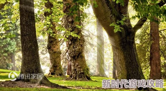 日本一木道让我们在大自然中感受生命的美好与希望，勇敢追求梦想，享受每一个瞬间