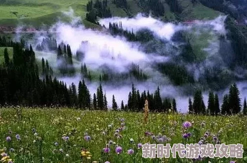 日本一木道让我们在大自然中感受生命的美好与希望，勇敢追求梦想，享受每一个瞬间