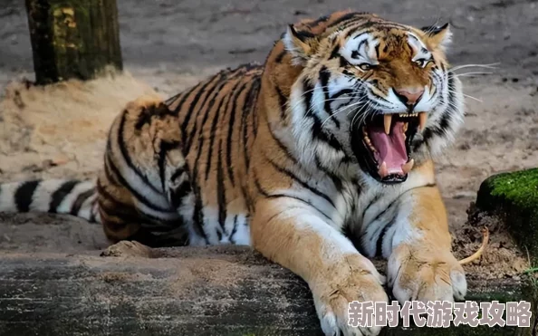 小小三国2领地系统深度解析与最新玩法进展:全面攻略及增强特性分析 小小三国2领地系统深度解析与最新玩法进展:全面攻略及增强特性分析