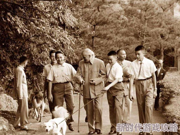 清穿之媚宠入骨蒋介石与张学良携手共进勇敢追梦创造美好未来