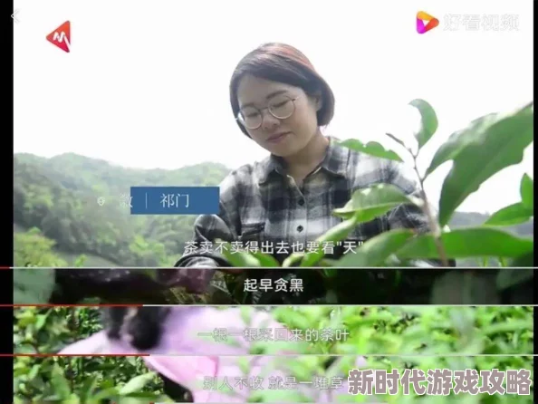 乡村活寡全文阅读免费我的单板女孩第一季勇敢追梦展现自我热爱生活无畏挑战