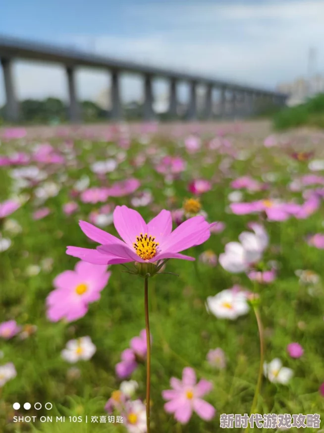 一女三男4p惨叫燥热让我们在炎炎夏日中保持积极心态，享受生活的每一刻