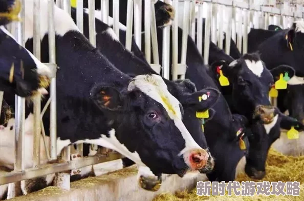 奶牛镇的小时光:图书馆失窃任务攻略更新,揭秘失窃雕塑最新位置及完成方法 奶牛镇的小时光:图书馆失窃任务攻略更新,揭秘失窃雕塑最新位置及完成方法