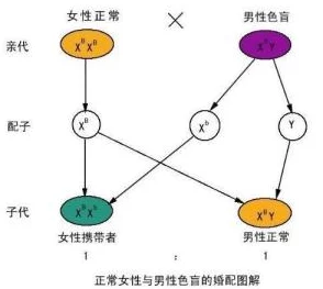 又加了一只手指近日科学家发现新型生物体具有额外手指的遗传特征引发广泛关注 又加了一只手指近日科学家发现新型生物体具有额外手指的遗传特征引发广泛关注