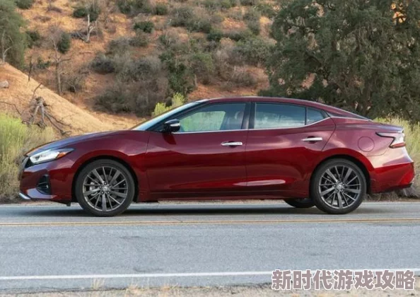 龙之力量新手阵容选择指南:结合最新开服信息与高爆版福利深度解析 龙之力量新手阵容选择指南:结合最新开服信息与高爆版福利深度解析