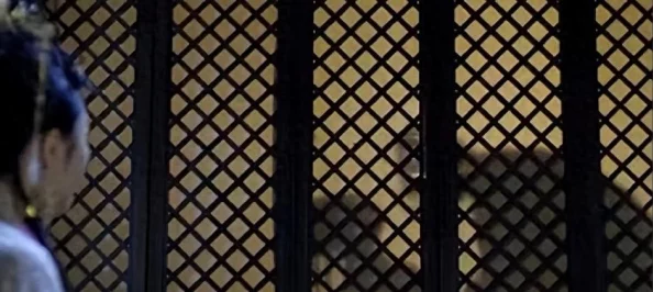 美女扒开屁股视频资源更新至第8集完整版高清下载