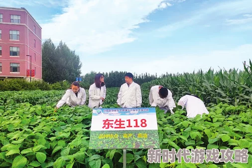 最原始的欲望东北大炕农忙时节的爱情故事在火热上演 最原始的欲望东北大炕农忙时节的爱情故事在火热上演