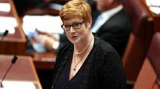 岛国网网站维护升级预计将于24小时内完成 岛国网网站维护升级预计将于24小时内完成