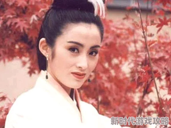 第一章张敏陈红陈法蓉全文三美初相遇命运交织风云将起