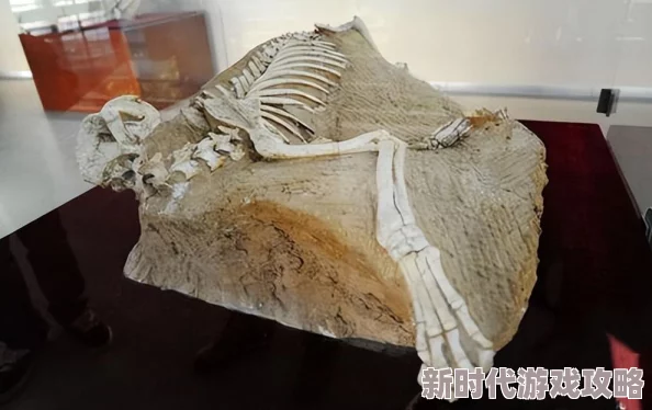 创造与魔法岩石怪最新抓捕位置及高效召唤方法全面详解