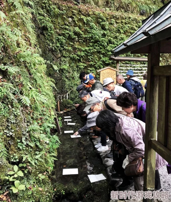 火影忍者OL手游红豆实力解析：最新进展揭示其强度与培养价值探讨