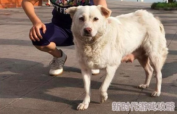 我和婆婆的狗老公在一起了我们要珍惜身边的每一个人和每一份爱，让生活充满阳光与温暖