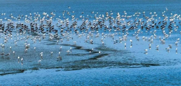 神魔怪传占卜技巧详解:最新占术趋势与精准预测方法大揭秘 神魔怪传占卜技巧详解:最新占术趋势与精准预测方法大揭秘