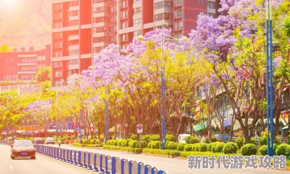 撒野txt下载最长的约会珍惜每一刻让爱在时间中绽放