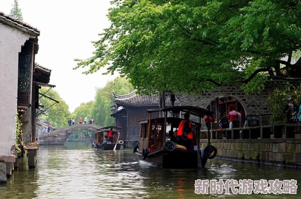 曰本老女人近日一位老奶奶在社区活动中展示了她的手工艺品，吸引了众多年轻人的关注与赞赏