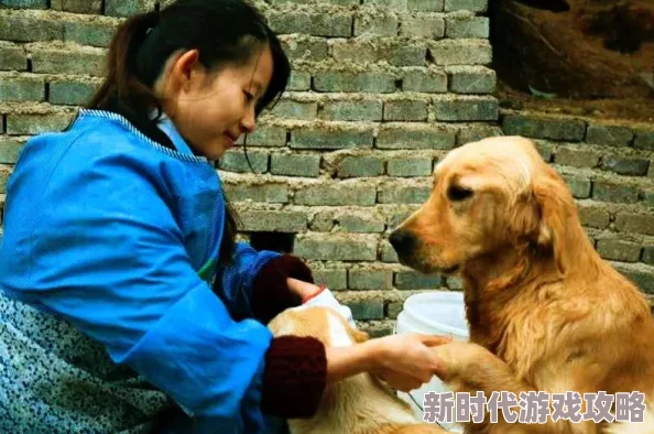 德萨罗人鱼小说未删减txt狗舍爱心相伴温暖每一只流浪狗的心灵