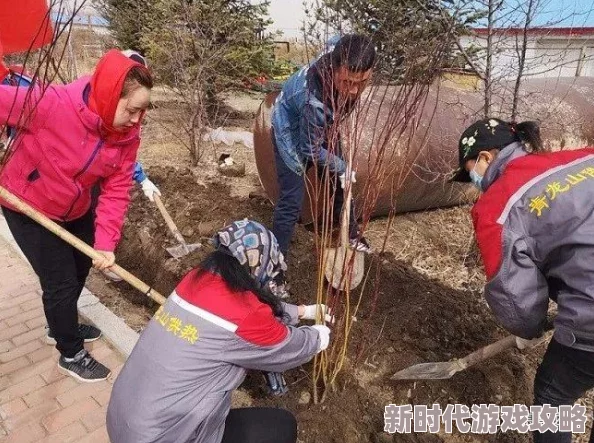 全民农场辅助器修改攻略集合大全：2024年最新进展与高效使用技巧汇总