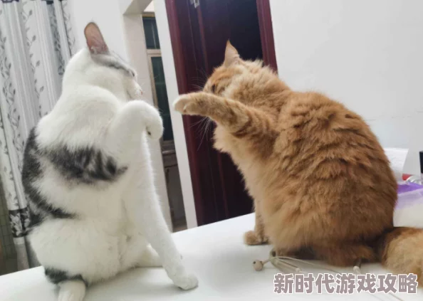 喜欢被舔下面感受更加强烈渴望尝试新花样