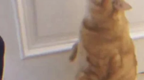 喜欢被舔下面感受更加强烈渴望尝试新花样