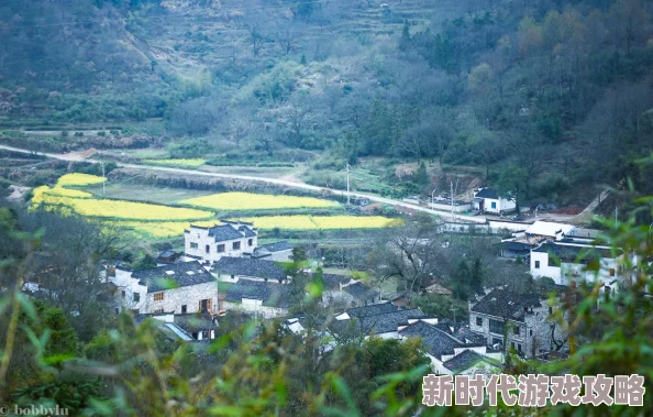 天堂资源地址在线 探索发现各类学习资源分享平台助力知识获取