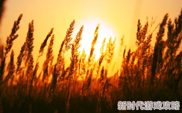 呦呦色雁归西窗月心怀梦想勇敢追逐未来的光辉 呦呦色雁归西窗月心怀梦想勇敢追逐未来的光辉