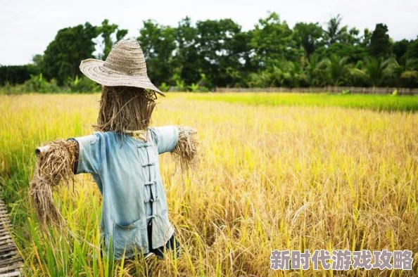 忘忧草俏佳人稻草人之地心怀梦想勇敢追求希望与未来