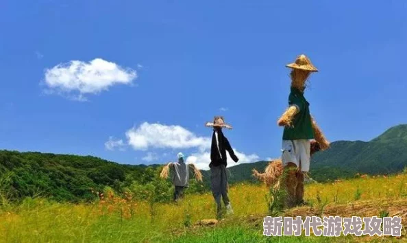 忘忧草俏佳人稻草人之地心怀梦想勇敢追求希望与未来