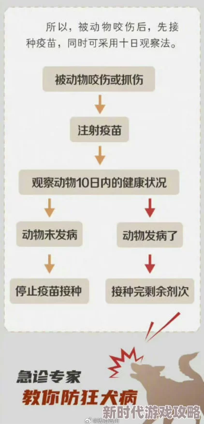一小时人生:动物咬伤应急处理指南及最新疫苗接种进展 一小时人生:动物咬伤应急处理指南及最新疫苗接种进展