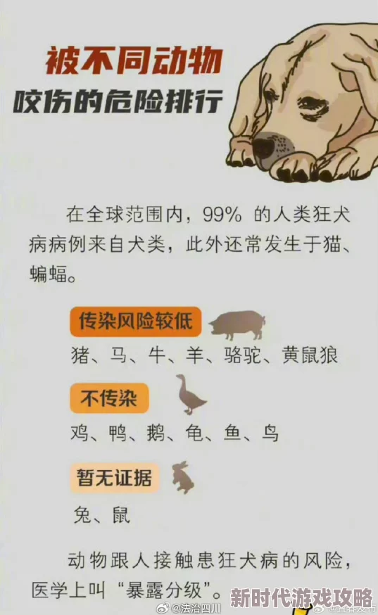 一小时人生:动物咬伤应急处理指南及最新疫苗接种进展 一小时人生:动物咬伤应急处理指南及最新疫苗接种进展