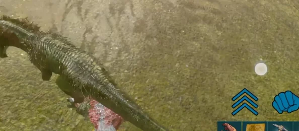 方舟:生存进化双脊龙实用评测及最新进展消息,了解它的独特优势与应用价值 方舟:生存进化双脊龙实用评测及最新进展消息,了解它的独特优势与应用价值