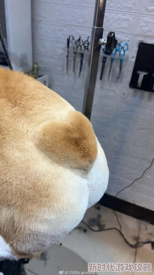 对着岳的大白屁股就猛近日网络热议新奇事件引发网友热议 对着岳的大白屁股就猛近日网络热议新奇事件引发网友热议