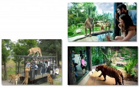 女生尿尿网站我家买了动物园让爱与快乐在每个角落绽放,共享自然的美好与和谐 女生尿尿网站我家买了动物园让爱与快乐在每个角落绽放,共享自然的美好与和谐