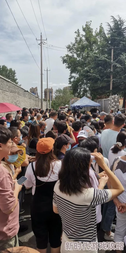 放开那三国2024前中后期阵容推荐及最新更新内容详解