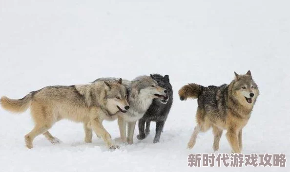 天天舔狠狠干项目已完成80%进入最后测试阶段预计下周正式上线 天天舔狠狠干项目已完成80%进入最后测试阶段预计下周正式上线