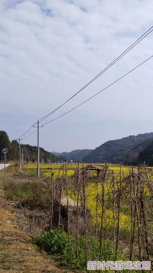 乡村春色小说春天是希望的象征让我们在美丽的乡村中感受生命的力量与温暖 乡村春色小说春天是希望的象征让我们在美丽的乡村中感受生命的力量与温暖